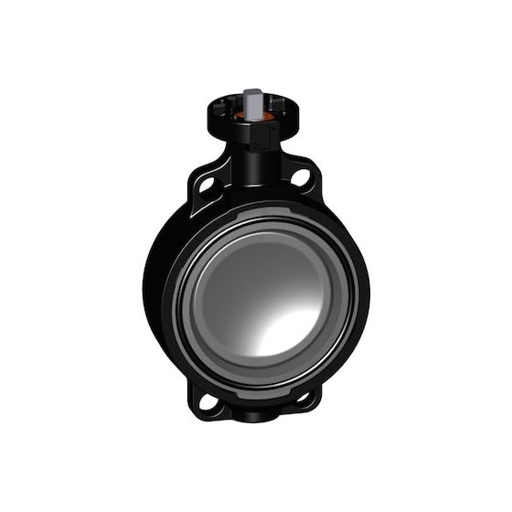 Butterfly Valve Bare Shaft FPM