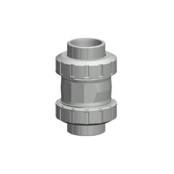 Check Valve FPM NPT Thread Inch