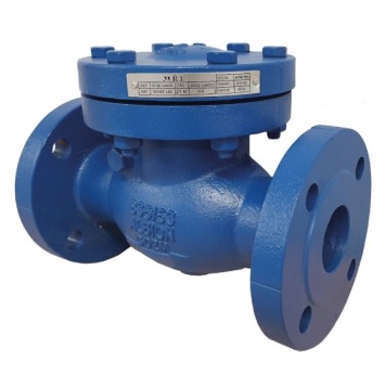 Cast Iron Swing Check Valve Flanged 25 Bar