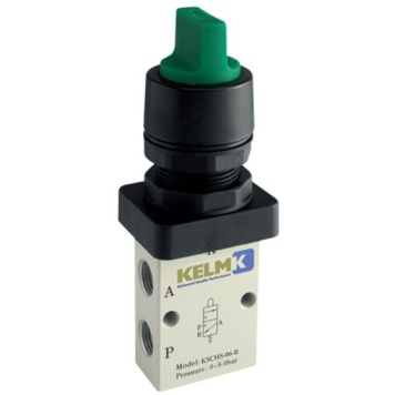 Kelm Switch BSPP