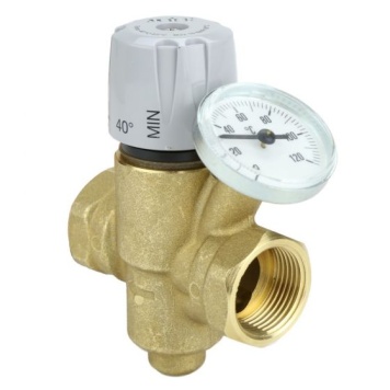 Thermal Balancing Valve BSPP F