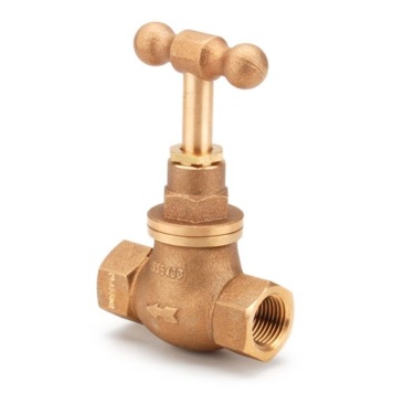 Plasson Below Ground GM F BSP