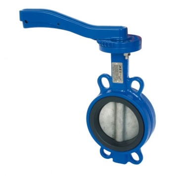 Butterfly Valve With SS Disc NBR Liner