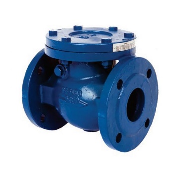 Swing Check Valve Flanged 16 Bar