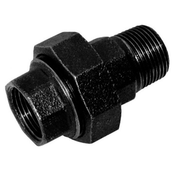 Union M x F 
