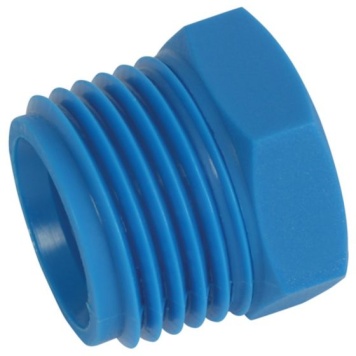 Blanking Plug BSPT