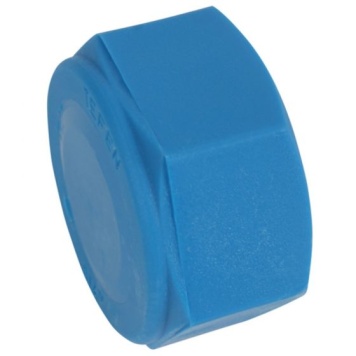 Blanking Cap BSPT