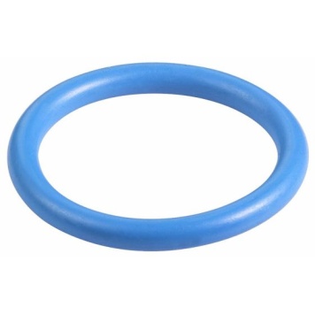 Seal For Tapping Flange
