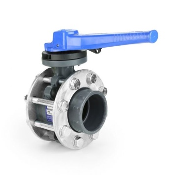 Butterfly Valve Complete Set - Backing Ring
