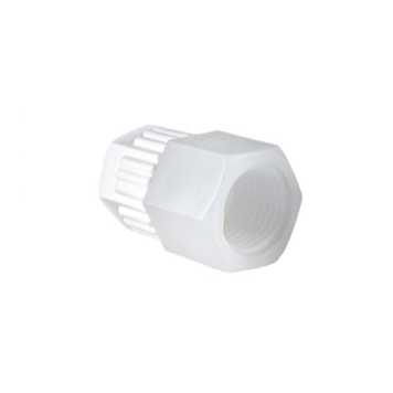 F Connector BSPT