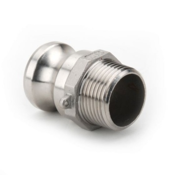 SS Type F Plug M Thread 