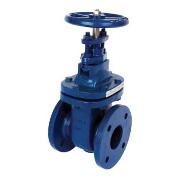 Gate Valve Flanged - Table E & D