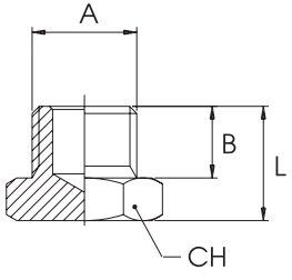 km-npba-blanking-plugs-oring-bspp-diagram